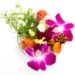 【海外最新情報】インスタ映えもバッチリ！食べられるお花 エディブルフラワーが流行の兆し